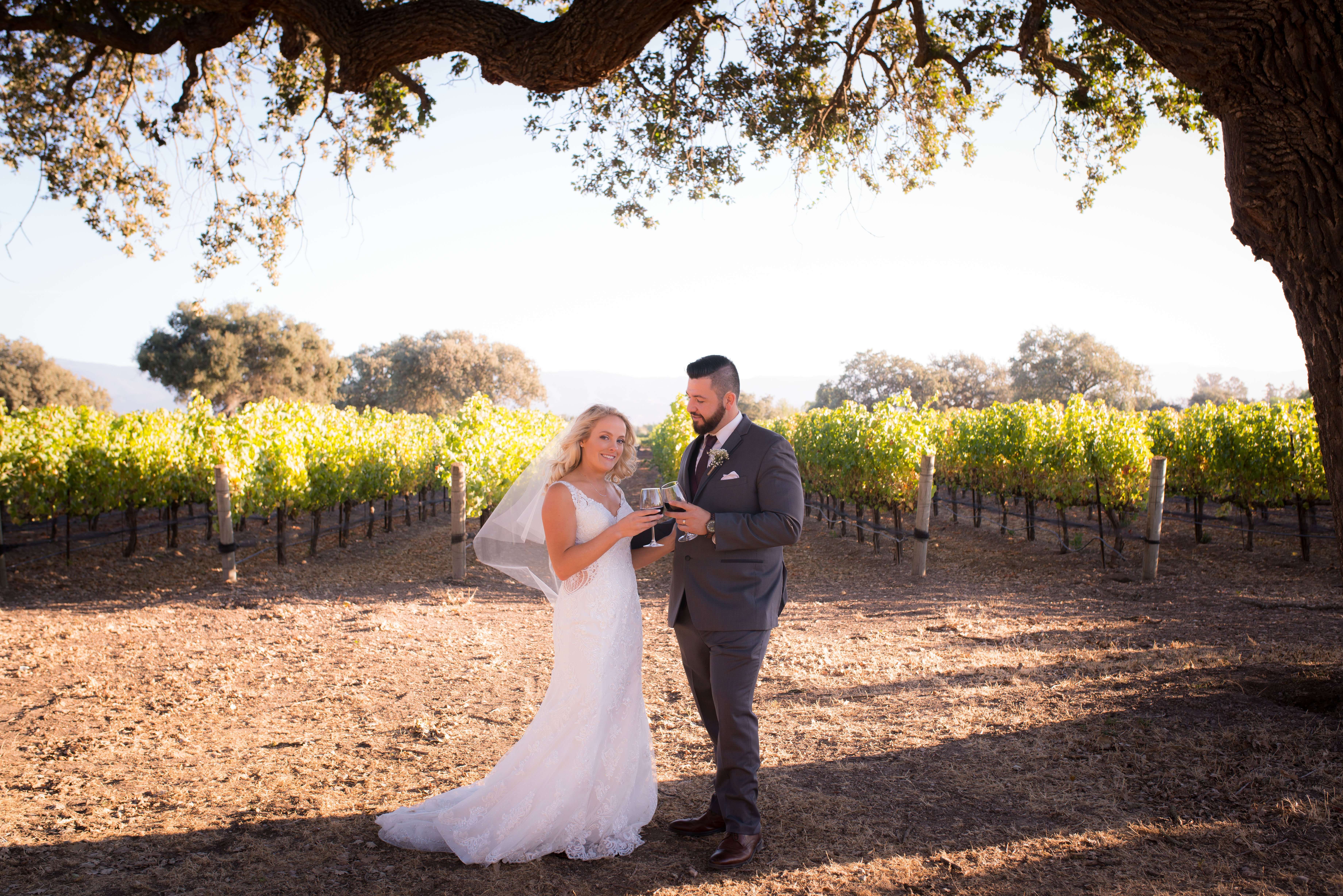 You are currently viewing Roblar Winery Wedding