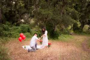 Read more about the article How to have the perfect surprise proposal